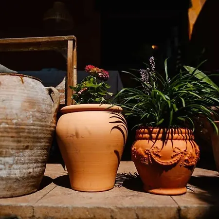 度假居 Tilos En El Campo. 托尔德拉
