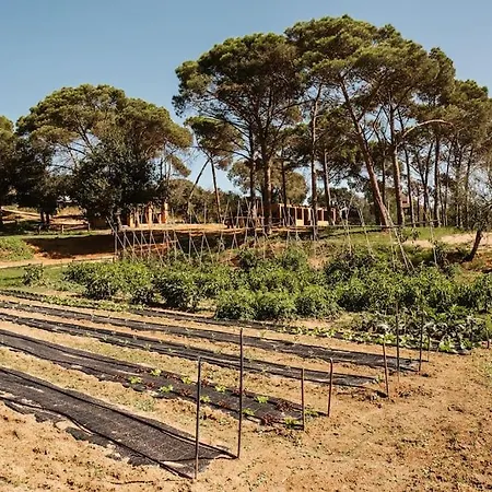 Tilos En El Campo. *